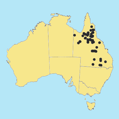 Australian Distribution 2002 © ABRS