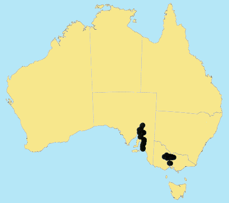 AusGrass Distribution 2002 © ABRS