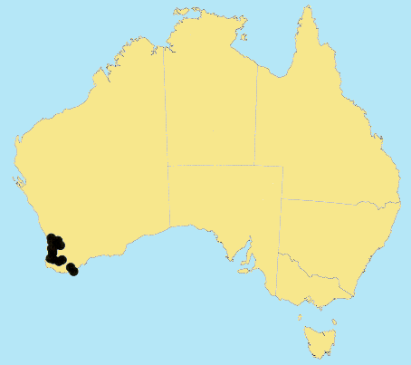 AusGrass Distribution 2002 © ABRS