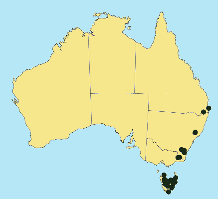 AusGrass Distribution 2002 © ABRS
