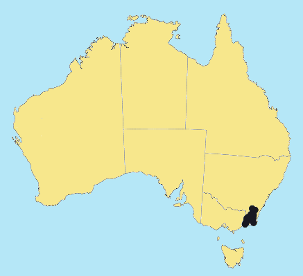 AusGrass Distribution 2002 © ABRS