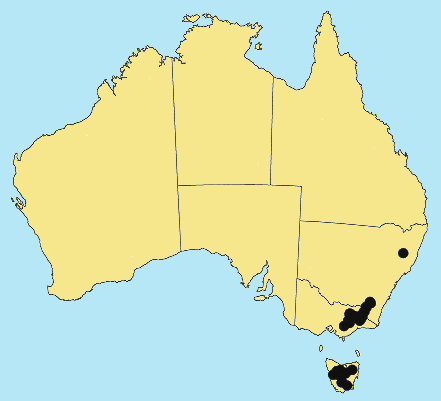 AusGrass Distribution 2002 © ABRS