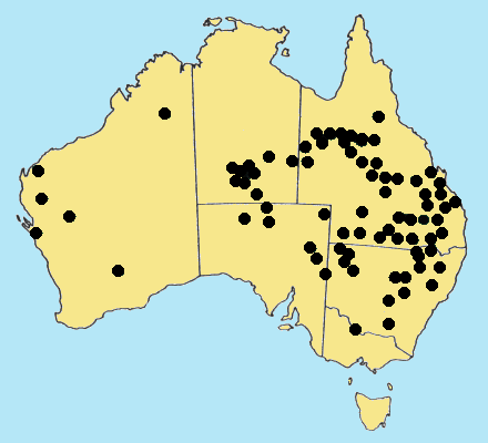 AusGrass Distribution 2002 © ABRS
