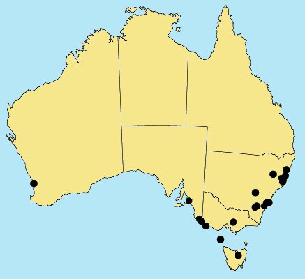 Australian Distribution 2002 © ABRS