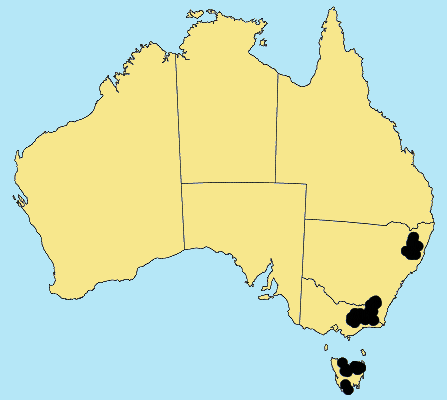 Australian Distribution 2002 © ABRS