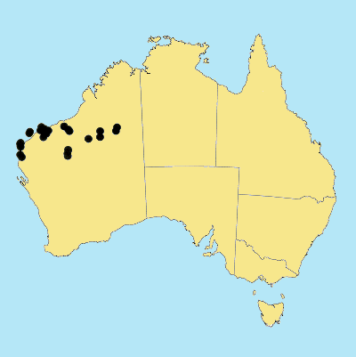 Australian Distribution 2002 © ABRS