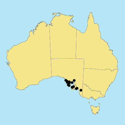 Australian Distribution 2002 © ABRS
