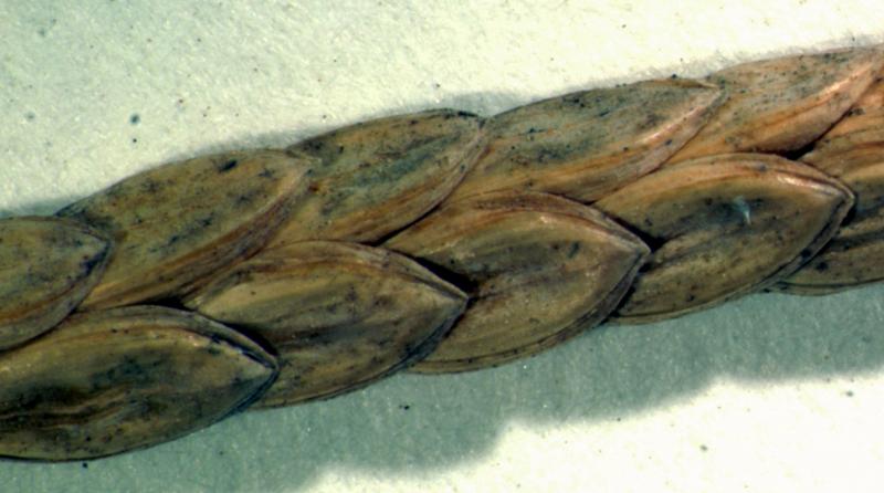 photo © John Thompson