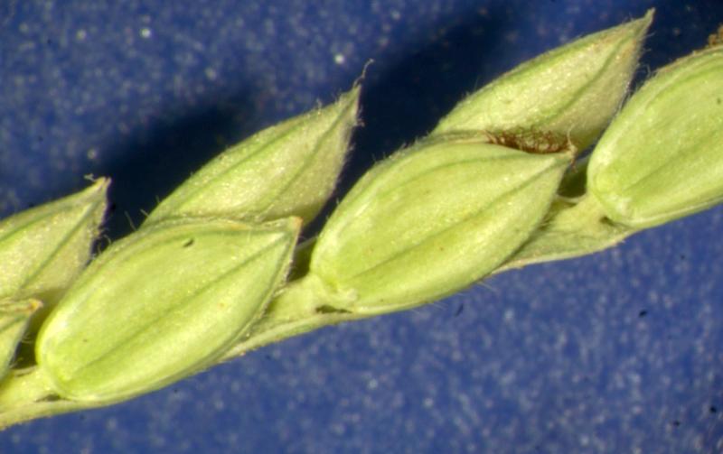 photo © John Thompson