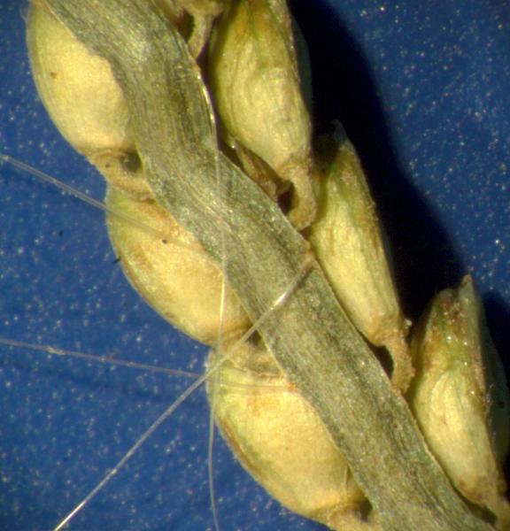 photo © John Thompson