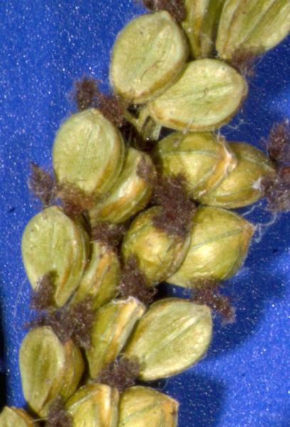 photo © John Thompson