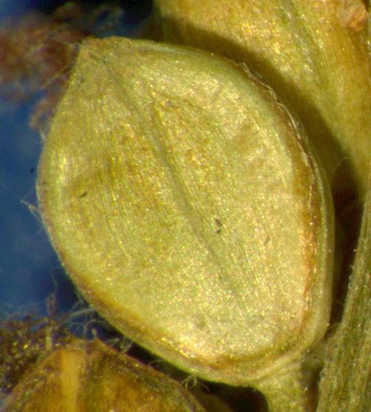 photo © John Thompson