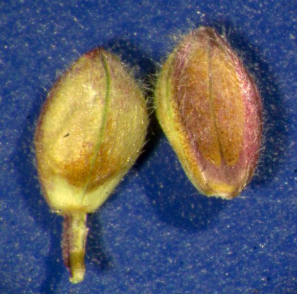 photo © John Thompson