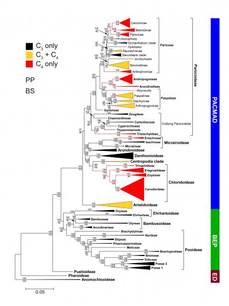GWPG II (Erika Edwards et al 2011)