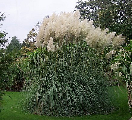 Habit (photo) © B.K. Simon