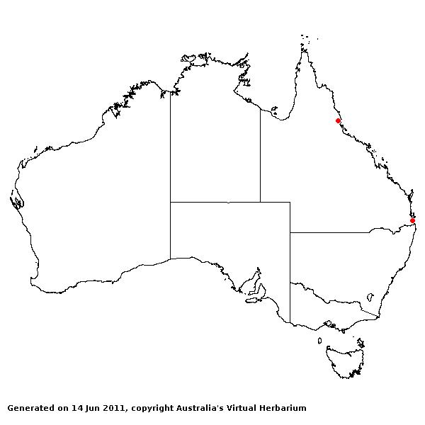 Urochloa brizantha AVH 2011