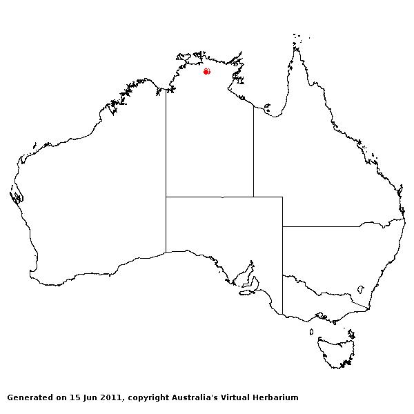 Triodia radonensis AVH 2011