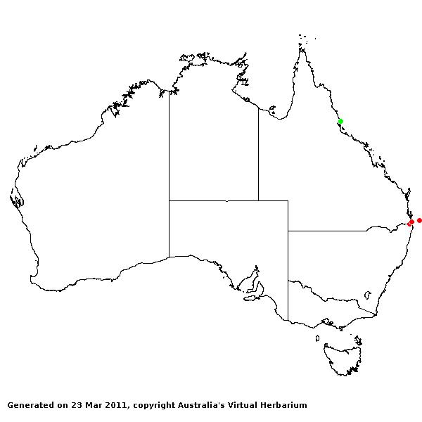 Steinchisma AVH 2011
