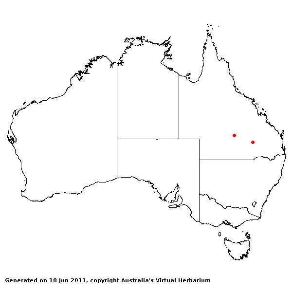 Yakirra websteri AVH 2011