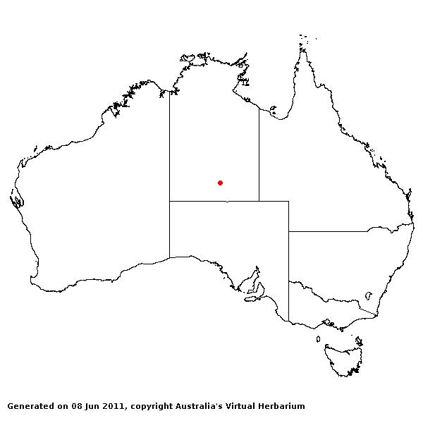 Stipagrostis ciliata AVH 2011