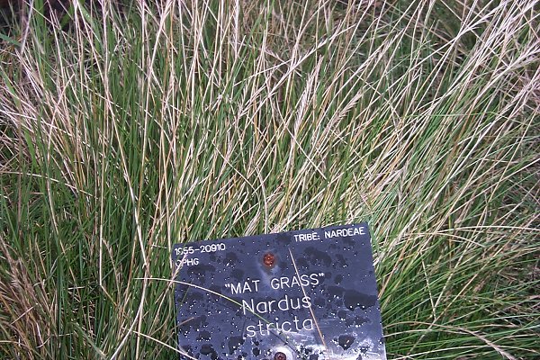 Habit (photo) © B.K. Simon