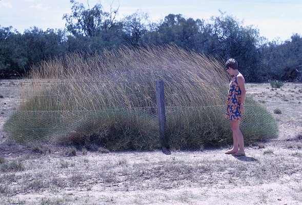 Habit (photo) © S.Jacobs